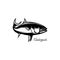 Silhouette Amberjack fish logo icon.