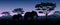 Silhouette animals savannas in the night