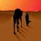 Silhouette arabic man with camel on beautiful sunset of desert  vector illustration