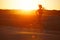 Silhouette of athletic female runner running along the beach an amazing orange sunset on background