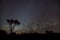 Silhouette of Australian Outback in front of milky way an zodiacal light