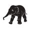 Silhouette baby elephant walking vector drawing