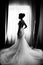 Silhouette of a beautiful bride in a traditional white wedding dress