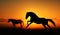 Silhouette of beautiful horse on a background of sunrise.