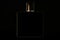 Silhouette of beautiful luxury bottle of French perfume with shining cover on dark black background with copy space