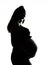 Silhouette of a beautiful pregnant woman on awhite background