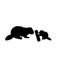 Silhouette of beaver and young little beaver