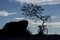 Silhouette of bicycle and a tree in the mountain
