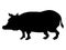 Silhouette of big swine