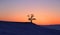 Silhouette big tree in sunset at Lake Baikal, Olkhon island, Siberia in Russia. Winter time