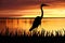 Silhouette of Big White heron staying