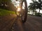 Silhouette of a bike in autumn on a sunny afternoon