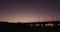 Silhouette of a bird flying over a bridge and street lamps at sunset