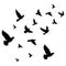 Silhouette Bird flying - shadow black ink icons of birds Flying- herons flying - egret Flying,