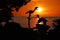 Silhouette of Birds Hornbill statue with trees and red sky sunset