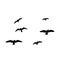 Silhouette of birds. Vector flock of birds in the sky. isolated background.