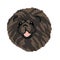 Silhouette of a black breed dog Chow chow snout, head drawn in squares, pixels. The image of the muzzle of the black Chow Chow