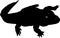 Silhouette of black Crocodile