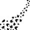 Silhouette Black Fly Flock Of Butterflies. Vector