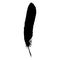 Silhouette black and white monochrome feather isolated vector