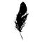 Silhouette black and white monochrome feather isolated vector