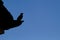 Silhouette of a blackbird (turdus merula) sitting on a gutter an