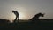 Silhouette of boy golfer with golf bag at sunset