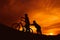 Silhouette boys riding bicycle at sunset or sunrise