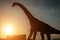 Silhouette of brachiosaurus and buildings in a sunset time