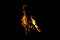 Silhouette of a burning campfire flame on a black background.