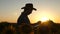 Silhouette Businessman with tablet examines his field with sunflowers. concept of agricultural business. farmer walks in