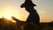 Silhouette Businessman with tablet examines his field with sunflowers. concept of agricultural business. farmer walks in