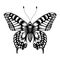 Silhouette of butterfly. Tattoo butterfly. Isolated vector sketch of butterfly