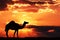 Silhouette of a camel against a dramatic sunset