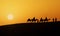 Silhouette of a camel caravan