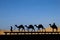Silhouette of camel caravan
