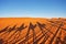 Silhouette of camel caravan in big sand dunes of Sahara desert,