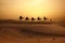 Silhouette of camel caravan with people on desert at sunset