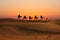 Silhouette of camel caravan with people on desert at sunset