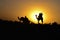 Silhouette of a camel cart and camel carrying tourists in Sam sand dunes, Jaisalmer. Located in the midst of the Thar Desert,