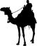 silhouette of a camel rider vector isolated on white background