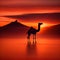 Silhouette of a camel standing tall in a desert