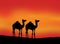 silhouette of Camels