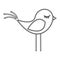 silhouette canary icon stock