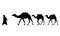 Silhouette of caravan of camels