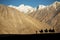 Silhouette of caravan travellers riding camels Nubra Valley Ladakh ,India