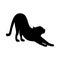 Silhouette of cat that arches its back. Black silhouette of tigress, panther or lioness. Blacl cat is stretched