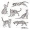 Silhouette cats pattern background. Cat movement in many positions. Vector illustration.