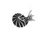 Silhouette chambered nautilus, Nautilus Pompilius shell ocean mollusk black and white minimalist style tattoo template