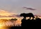 Silhouette of a cheetah on the hunt